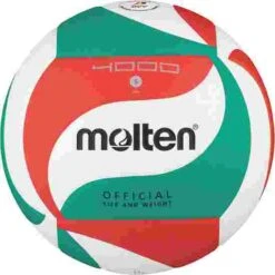 Molten "V5M4000" Volleyball