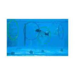 Weights For Diving Hoops